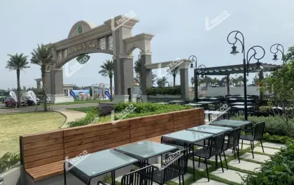 NOVAWORLD HỒ TRÀM - GỖ THÔNG BIẾN TÍNH LINECO